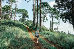 BIB: 
                            <button type="button" onclick="openModal(25677781)" class="btn btn-primary btn-sm float-right btn-popup" data-toggle="modal" data-target=".modal-high-quality">
                        <i class="fas fa-shopping-cart"></i> Add to Cart
                    </button>
                                            <button type="button" onclick="isThisMe(25677781, true)" class="btn btn-success btn-sm float-right btn-popup btn-isme hidden" data-toggle="tooltip" data-placement="bottom" title="นี่คือรูปของคุณใช่ไหม คลิกที่นี่เพื่อเอาเข้าอัลบั้ม">
                        <i class="fas fa-plus"></i> Add to album
                    </button>
                    <button type="button" onclick="isThisMe(25677781, false)" class="btn btn-warning btn-sm float-right btn-popup btn-isnotme hidden">
                        <i class="fas fa-ban"></i> Remove from album
                    </button>